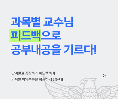 피드백